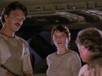   (1981)