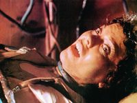   (1981) -  4