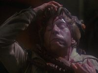  (1981) -  2
