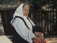    (1979)