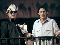    (2003) 
