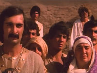  (1979)