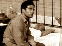   (2003)