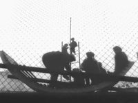   () (1962) 
