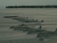  (2017)