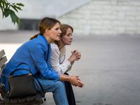   - 8.   (2019)