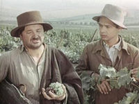  (1955) -  35