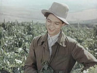  (1955) -  36