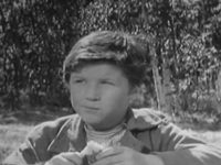   (1963) -  2