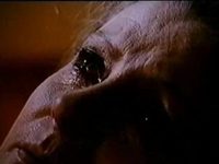 ׸  (1994) -  93