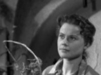    (1958) -  3