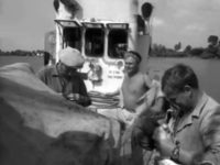    (1963) 
