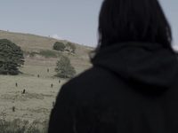   (2023) 
