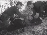   (1943) -  52