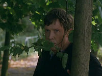   (2003)