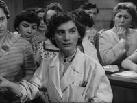  13 (1958)