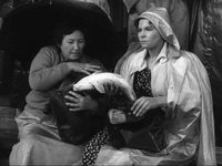  13 (1958) 
