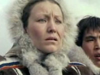   (1981) 
