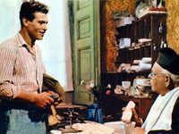    (1951) 
