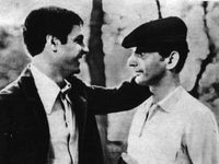    (1981) 
