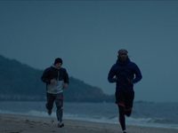  (2017)
