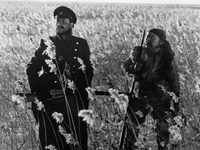  (1975)