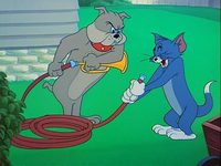,     (1954) 
