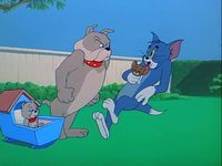 ,     (1954) 
