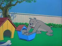 ,     (1954) -  8