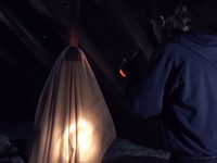   (2018) 
