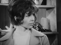   - 110 (1971-2024) -  23