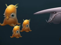   (2017) 

