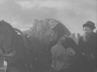  (1946) -  6