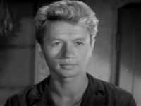   (1960) 
