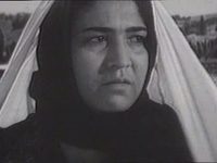 ,   (1966)