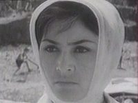 ,   (1966)