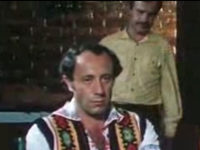   (1981)