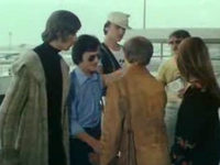   (1981)
