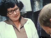   (1981)