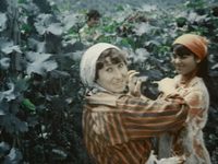     (1980) -  2