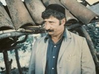     (1980) -  3