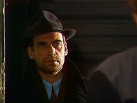  (1981)