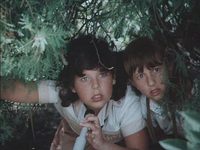    ,    (1984) -  10
