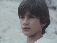    ,    (1984) -  36