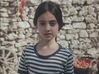    ,    (1984) -  41