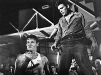     11 (1954)