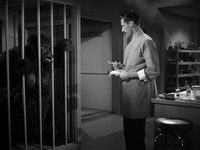   (1943)