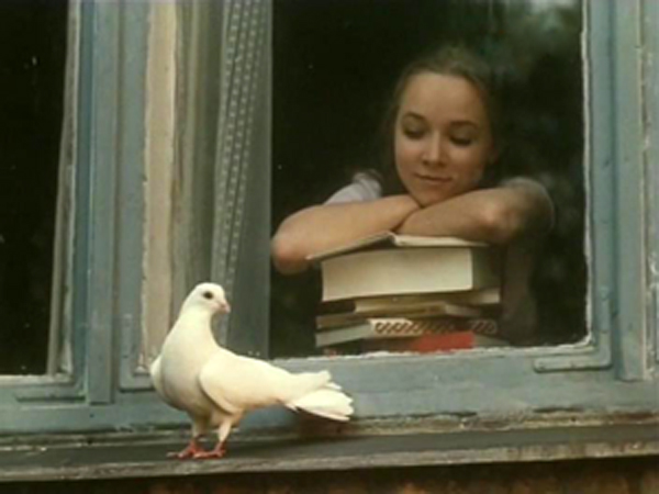   (1977)