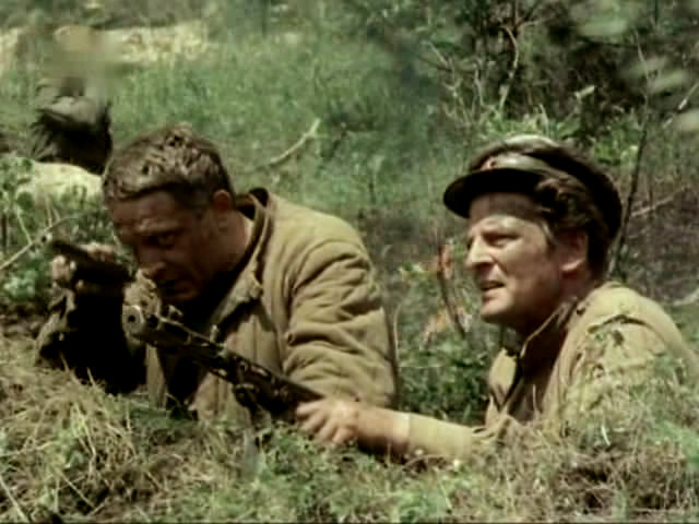    (1988)