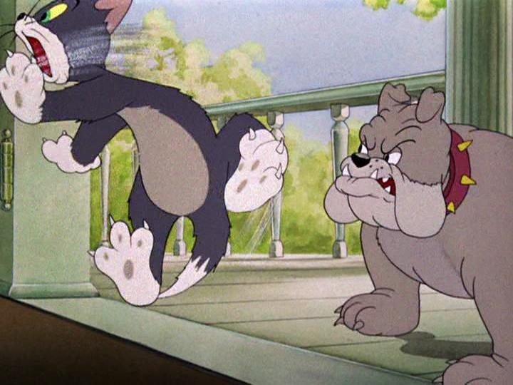 Кот трусишка мультфильм 1942